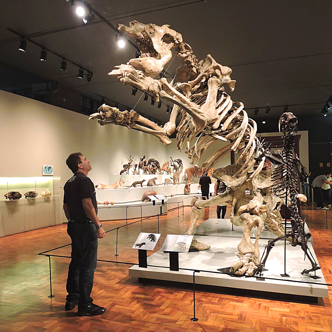 Quer encontrar um dinossauro de 3 m. de altura e outros animais exóticos? No MZUSP tem